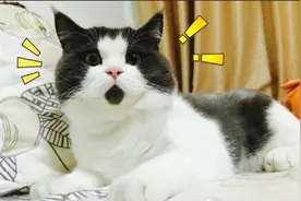 这条信息秒杀你对轮胎90%的认知图片