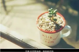 最犯贱的女生莫过于十二生肖里的这几个？图片