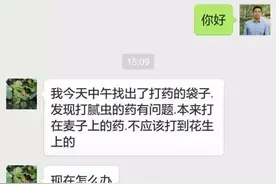 打错药了！花生如何补救？（花生病害大家诊断04）图片