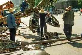 142组玉兰灯扮靓金台大道图片