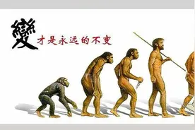 智商最高的十大动物：猪竟然也榜上有名！图片