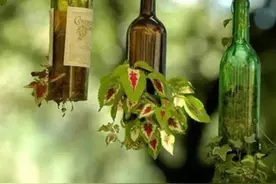 废品再造——废弃红酒瓶旧物改造家居用品创意图片