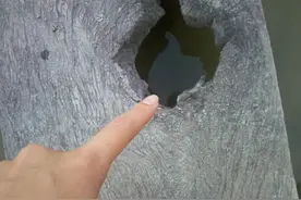 狗狗过桥时硬要选择自己的方式喝水，结果害主人笑到摔进水里！图片