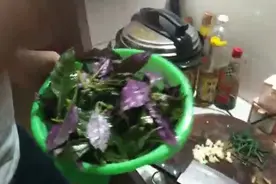 这种红叶菜不仅好吃下饭还有清热、解毒、补血的功效.....