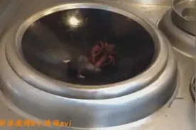 小龙虾大战老鼠！视频封面