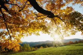 甜歌皇后张舒娟《留恋》甜美动听