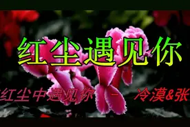 错过山错过水，错过风景不能错过你，我在红尘中遇见你视频封面