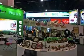 义乌旅游博览会掀起厕所革命！各地旅游商品大PK：谁比谁更牛？图片