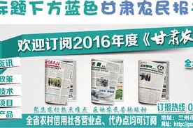 小农原创 || 红古区大砂村穷山荒坡长出了致富蘑菇图片