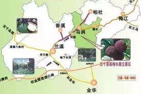 自己亲手摘的杨梅才好吃！兰溪最全杨梅采摘地图快收好~图片