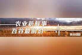 奶羊产后初乳挤多少才算科学图片