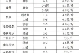 6月上旬珠三角草鱼、罗非鱼、叉尾鮰、泥鳅、太阳鱼、黄颡鱼价格 | 行情参谋图片