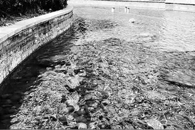 伊萨卡“臭水沟”变身游鱼池图片