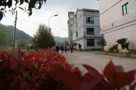 岩洞口村：打造轻奢休闲乡村游图片