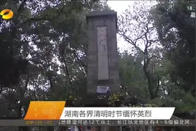 湖南卫视报道曾氏宗亲后人为革命烈士曾士峨扫墓图片
