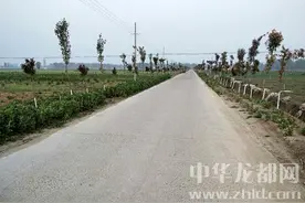郸城秋渠打造生态长廊图片