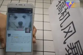 微信朋友圈朋友的评论也是可以免打扰的，你还不知道？视频封面