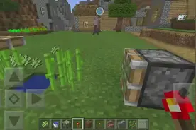 我的世界两种方式 无限刷甘蔗