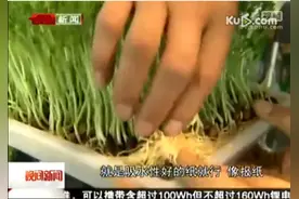 纸上种菜，选什么‘纸’才能安全健康？图片