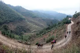 桂林的云山之巅  三瑶娃骑着马儿去上学图片