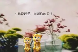 小猫说段子：不要随便叫“老公”了，切记！视频封面