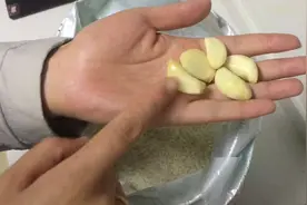 大蒜放进大米里，还有这么大的功效，真是学到了