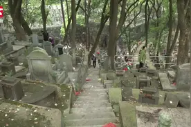 清明祭扫：文明祭扫，鼓励使用电子鞭炮视频封面