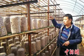 河北平山扶贫记：让山里娃尽享奥尔夫音乐教育图片