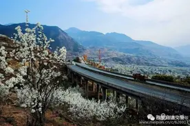 自驾西昌泸沽湖的注意了！雅西西攀高速 这些路段易堵图片