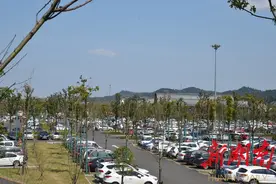 清明节期间，中国常德桃花源景区持续火热图片