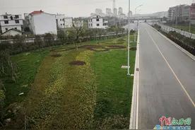 南昌前湖快速路湾里区主线顺利完工图片