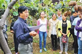 陕西宝鸡市吹响人才“集结号” 让各类人才在乡村大展宏图图片