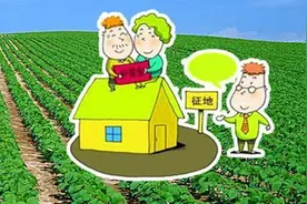 全国征地信息共享平台正式上线运行图片