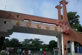 南宁动物园“壮族三月三”门票打5折，赶紧来看看你能不能享受优惠图片