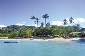 办小国护照 出入大国不用愁图片