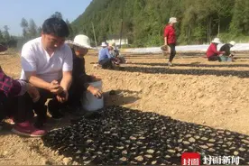 80后大学生回村创业亏损百万家庭破裂 村民：工资可先欠着  部门：将对其重点帮扶图片