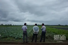 财新记者深入非洲 记录中国人淘金莫桑比克图片