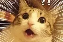 亲戚称呼全攻略 春节回家不尴尬！图片