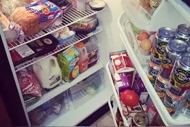 深度干货！史上最全冰箱知识贴！图片