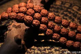 丑到没朋友的玄武纹小金刚菩提子，你见过吗？图片