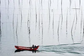 生活中最常见的线条，在摄影师眼中是这样的图片