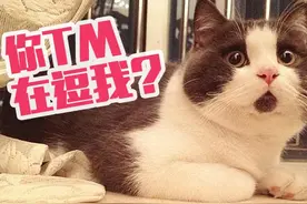 电视盒子还能买吗？云视听·企鹅都停服了。图片