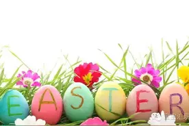 一个鸡蛋引发的惨案！鸡蛋君教你学会保护自己！图片