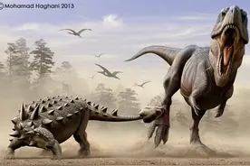 一锤子打断暴龙腿的中生代的“坦克”——甲龙图片