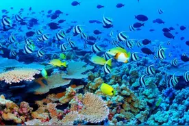 别再说太原陷入全城看海模式了，太原真正的海洋在这里！图片