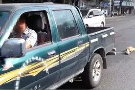 残忍货车司机拖行流浪狗致死，路人阻拦遭骂：不关你的事图片