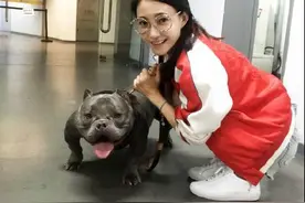 一条狗值一辆豪车，王丽坤现实版“美女野兽”，网友：活的不如狗图片