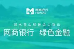 谈谈那限额20万，谈谈支付宝和网商银行。图片