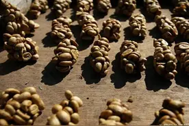 我们吃了这些动物的便便，还津津有味...图片