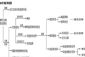 高考生物系列 生物总结九 生物的变异、育种与进化​图片